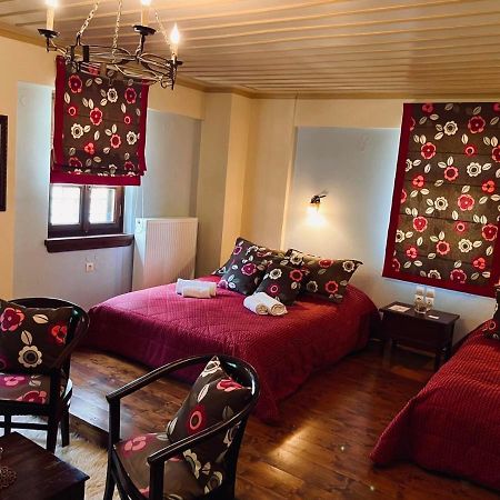 Giagia Evgenia Hotel Vitsa Bagian luar foto