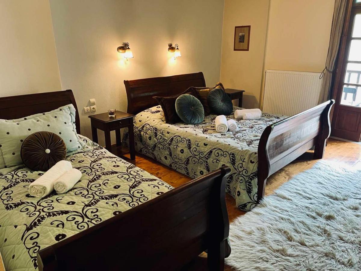 Giagia Evgenia Hotel Vitsa Bagian luar foto
