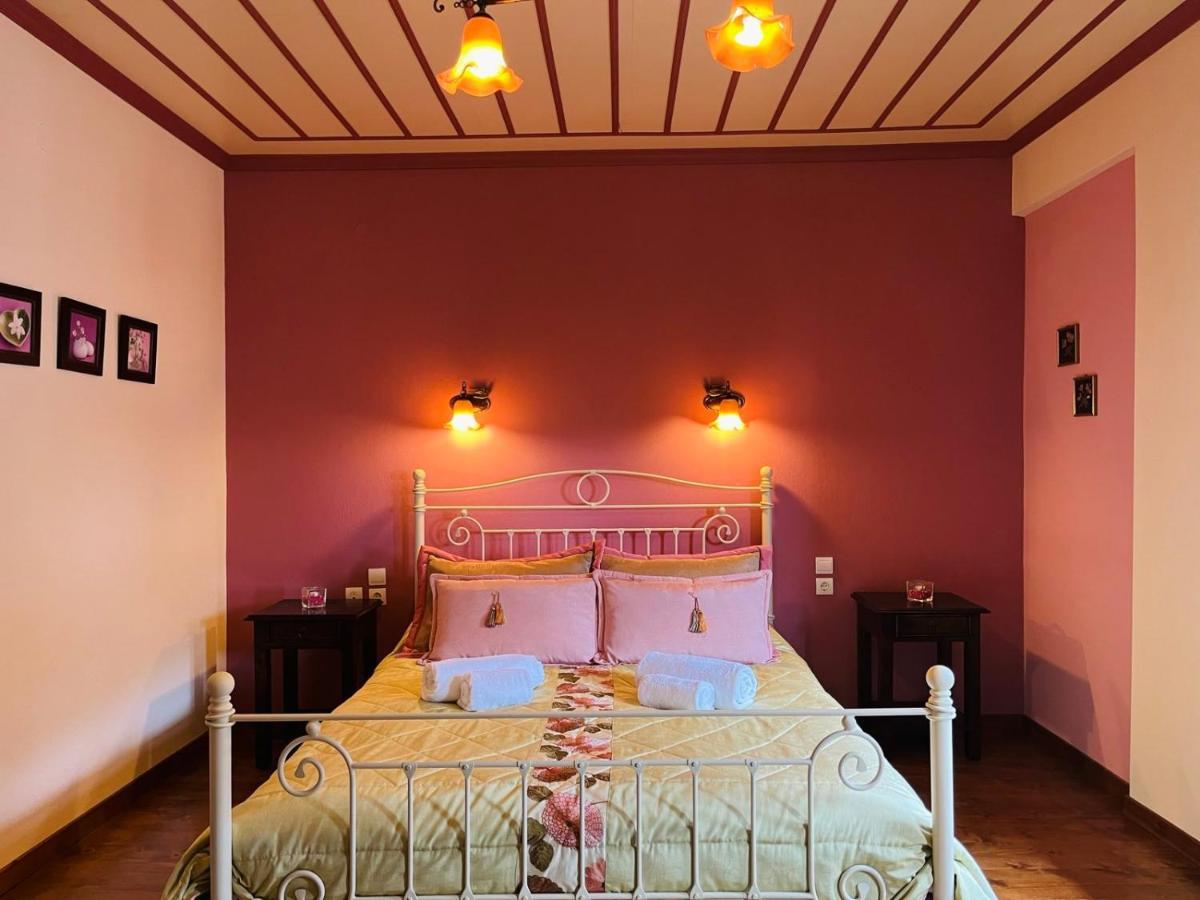 Giagia Evgenia Hotel Vitsa Bagian luar foto