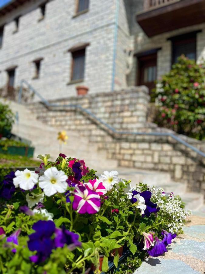 Giagia Evgenia Hotel Vitsa Bagian luar foto